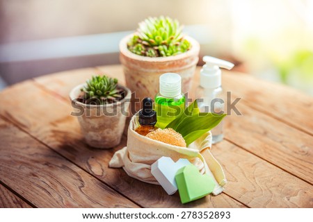 Cosmetic bottle containers with green herbal leaves and garden pots with flowers on wooden background