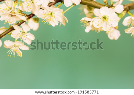 Flowers On Green Background./ Flowers On Green Background.