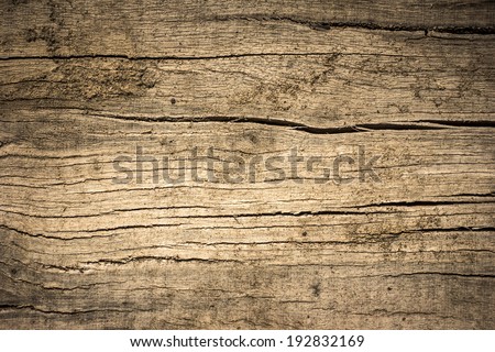 Wood Texture./ Wood Texture.