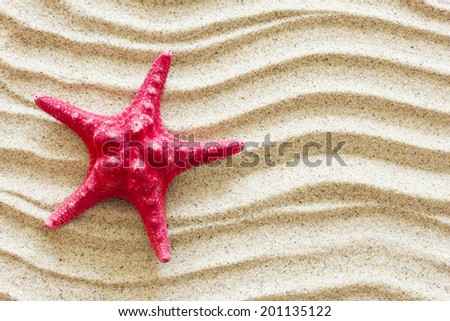 Red Starfish On Sand./ Red Starfish On Sand.