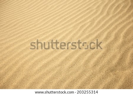 Sand Texture./ Sand Texture.