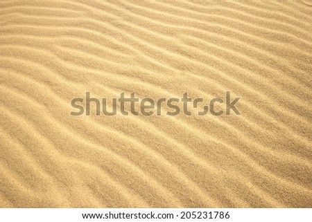 Sand Texture./ Sand Texture.