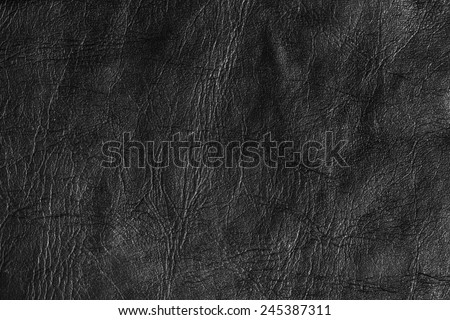 Black Leather Texture./ Black Leather Texture.
