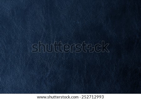 Blue leather texture / Blue leather texture