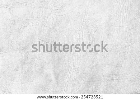 White  Textured Paper./ White  Textured Paper