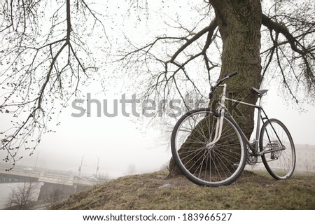 old vintage bike near the tree