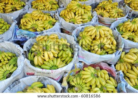 Small yellow bananas at Thai market
