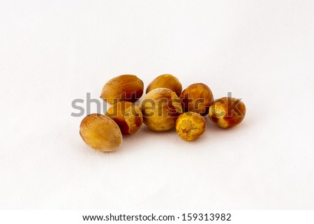 pale brown dried hazelnuts on a white background