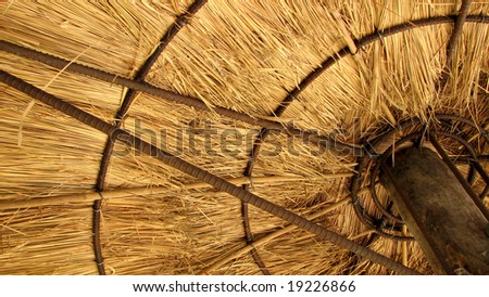 Gazebo Ceiling