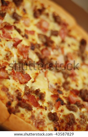 Delicious Meat Pizza