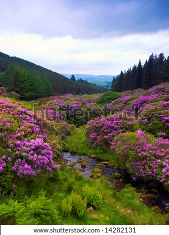 popular beauty spot in the Comeragh Mountains, Co.Waterford, Ireland
