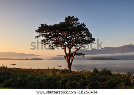 peaceful morning by Killarney Lakes, Co.Kerry, Ireland