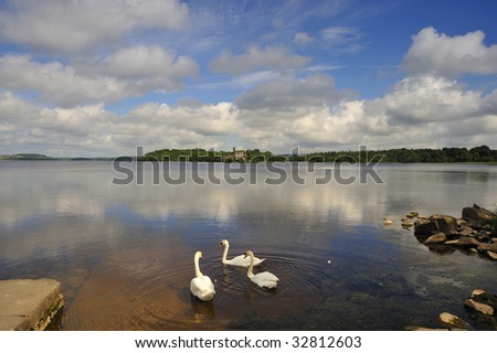 Lough Key, Co.Roscommon, Ireland showing island with  castle ruins in distance, with swans swimming in foreground