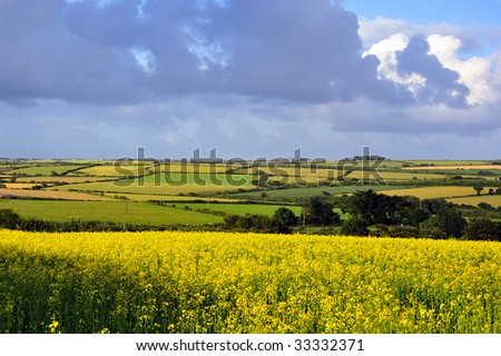 stock photo colorful landscape in CoCork Ireland