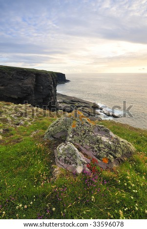 rocks and wildflowers overlooking atlantic ocean on Kerry Head Peninsula, Ireland