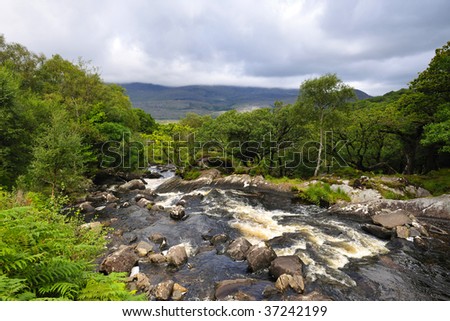 mountain stream near killarney,on Ring Of Kerry, Co.Kerry, Ireland