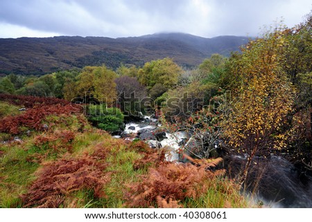 Autumn Colours,mountains and stream in The Black Valley, Co.Kerry, Ireland