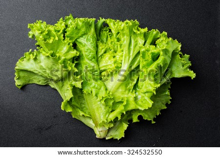 Fresh lettuce on black background