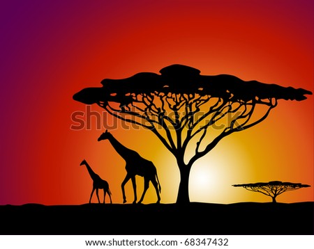 African Tree Vector