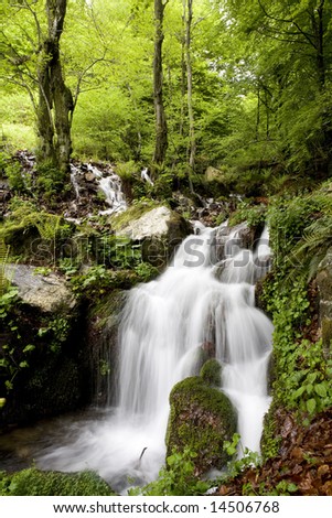 beautiful cascade waterfall in green forest