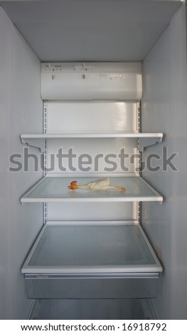 Rubber chicken in refrigerator