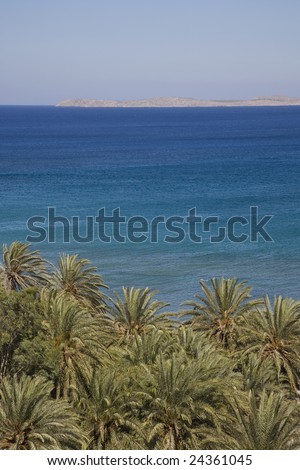 The beach at Vai, eastern Crete, viewed over part of the famous palm tree forest.