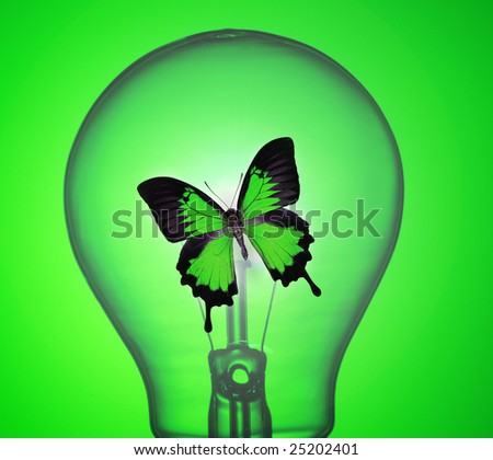 Monarch Butterfly in light bulb