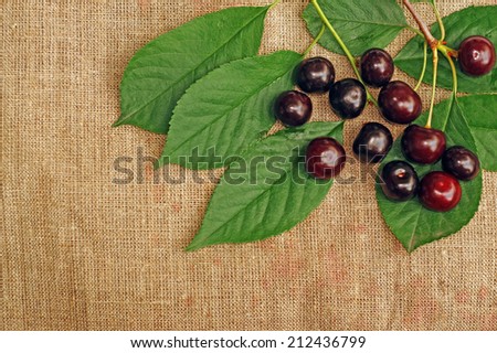 Ripe cherry on the rough fabric as the background