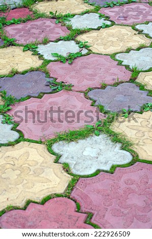 Path of colored tiles from the growing grass in the gaps as background