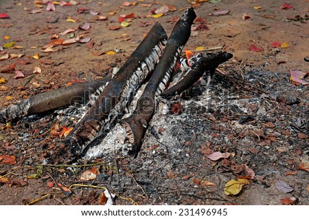 Smoldering fire on a background of autumn of leaves