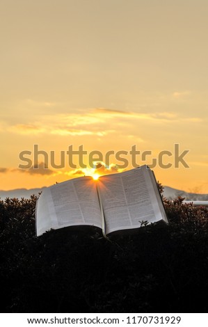The Holy Bible (Word of God) opened during a glorious golden sunset. Sun in the center of the Bible. Background with clouds and Bright sun and intense orange and gold color. Vertical shot.