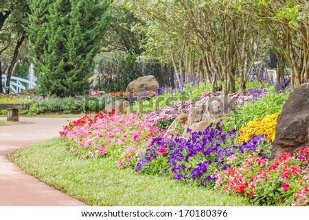 garden in summer,flower garden background