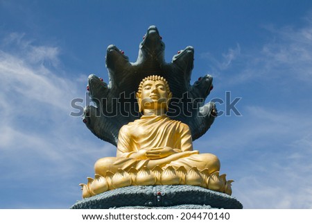 Buddha image protected by snake