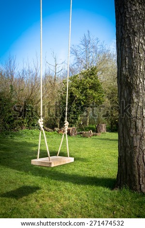 Tree swing in the garden with a tall tree, blue sky and green grass