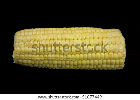 An ear of corn peeled, Isolated on black background