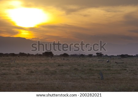 Sunset and landscape in Tsavo East National Park in Kenya with a safari car passing.