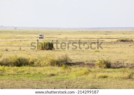 Safari Car in the savanna of Amboseli National Park in Kenya