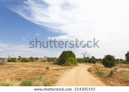 Dirt road through dry savanna landscape in Tsavo East National Park in Kenya.