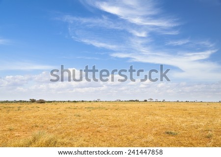 Dry savanna landscape in Tsavo East National Park in Kenya.