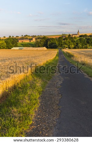 A country road leading through golden fields towards a village in the Eifel, Germany.