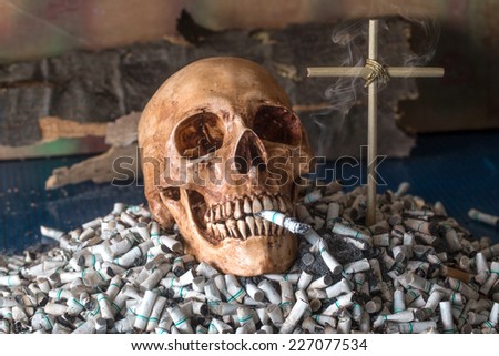 Still Life, Skull on  pile of cigarette butt