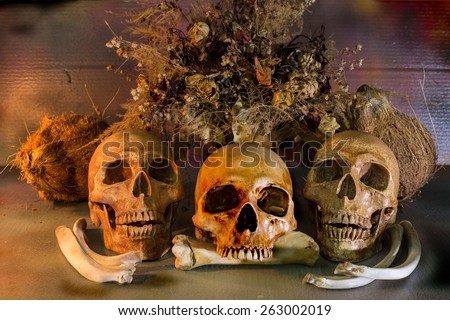 Three Skull, with bouquet wither flowers, Still Life