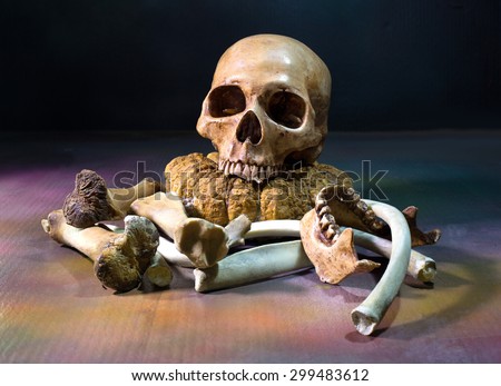 the skull with pile of bone, Still Life style