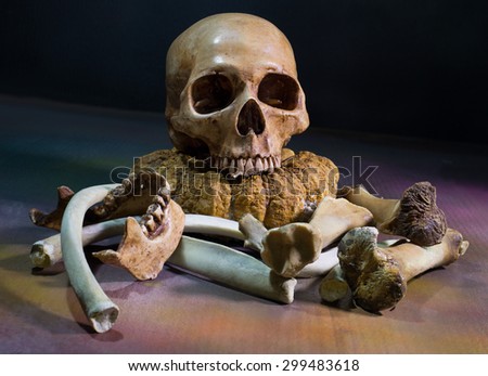 the skull with pile of bone, Still Life style
