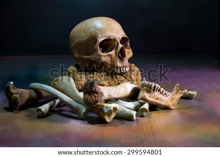 the skull with pile of bone, Still Life style.