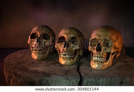 Three skull on the old block, Still life style