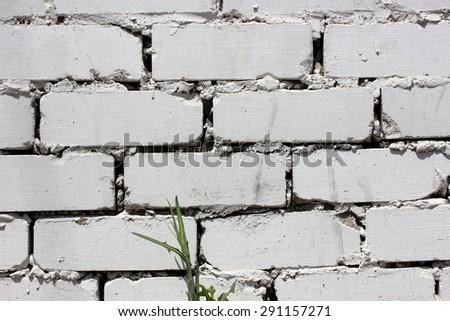 House wall element from the brick painted in white color