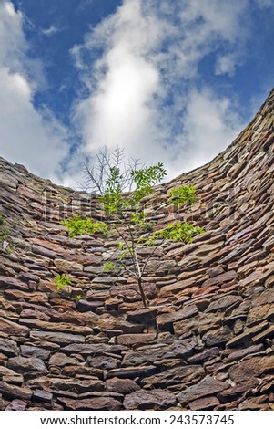 small tree growing horizontally from the vertical wall inside an abandoned industrial brick chimney with blue sky and white clouds above