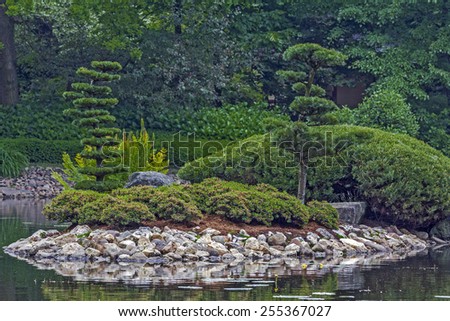 Fragment of a Japanese garden with artificially shaped  trees on an island in the middle of a pond