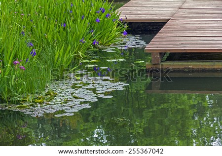 fragments of a garden pond - pier made of wooden planks, surface of the pond and beautiful water plants